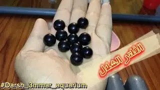 طريقة عمل دوامة رهيبة لتنقية مياه سطح حوض السمك 🦈🦠 إصنعها بنفسك💪