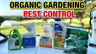 EVERYTHING YOU NEED TO KNOW ABOUT ORGANIC GARDENING PEST CONTROL