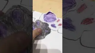 Видео долгое *в видео меняется звуки и пару ошибок*