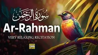 Surah Rahman | Allah’s Infinite Blessings & Mercy | Reflection for the Heart |Noor ul Quran Official