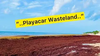 Playacar Full Update│Playa Del Carmen 2025