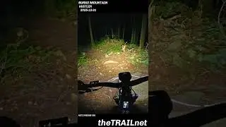 Burke Mountain Trail: Hustler #mtb #mountainbike #mtblife