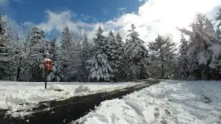 How Can You Beat Canada's SCENERY???