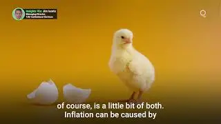 Do Currency Movements Create Inflation?
