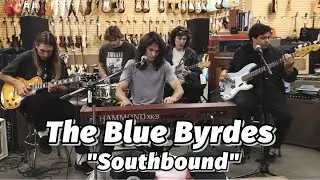 The Blue Byrdes - 