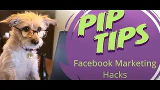 How to Elevate Your Facebook Page | Pip's Tips @ Informatics