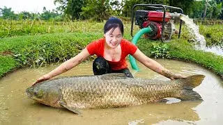 Catching giant fish in a shallow pond, selling them at the market & enjoying delicious grilled fish