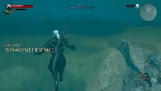 The Witcher 3: Leave Professor Moreau's Laboratory - Turn and face the strange