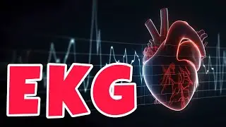 EKG POLOPATĚ: NEJPOUŽÍVANĚJŠÍ VYŠETŘENÍ SRDCE