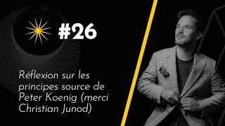 #26 R&eacute;flexion sur les principes source de Peter Koenig (merci Christian Junod)