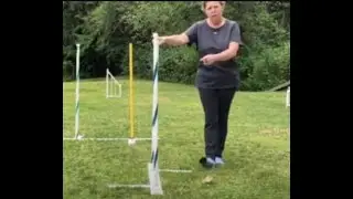 Part 1 Onside Weave Pole Entry Help, Learn to Put on the Brakes