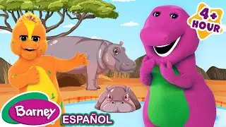 Vamos al Zoológico | Animales para Niños | VIDEO NUEVO | Barney en Español
