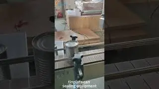 Fully Automatic Servo Can Sealing Machine: How It Ensures Leak-Proof Tinplate Cans