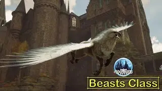 Beasts Class - Hogwarts Legacy | No Commentary