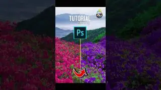 How to Photoshop Cc/Cs Replace Colour Silect #tutorial #easy work #top tips