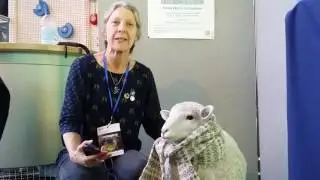From fleece to fashion Explorathon 2016
