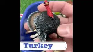 Frog Ribbit! Turkey Gobble! Donkey Bray &ndash; Toy Sound Show!