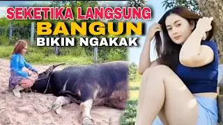 MATI SURI ‼️ MOMEN PALING KOCAK BANGET‼️ TERBARU BIKIN NGAKAK