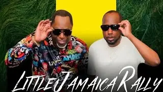 🇯🇲🇨🇦 Little Jamaica - Nitro Sound BIA Rally #gentrification #rubadub #pollypumpy #eglintonwest