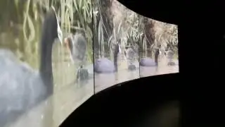 Visita al Centro de Visitantes de Do&ntilde;ana El Acebuche.