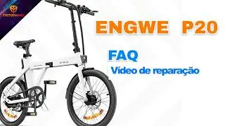 THETOPMARK ENGWE P20 Substituição do controlador - Portuguese version