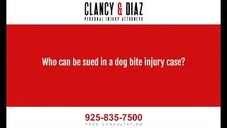 Who Can Be Sued in a Dog Bite Injury Case?