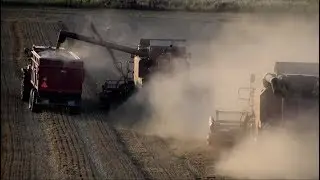 Žně 2017 - Rus&aacute;ci Gomselmash & Case IH 2188 | Harvest 2017