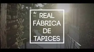 62 C&oacute;ctel Cena de APIEM