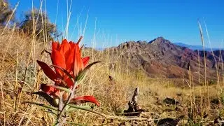 North Franklin Peak Hike | Franklin Mountains State Park - El Paso, TX.