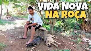 LARGUEI TUDO E FUI MORAR NA RO&Ccedil;A 🤠🌱