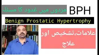 BPH || What is Benign Prostatic Hypertrophy?