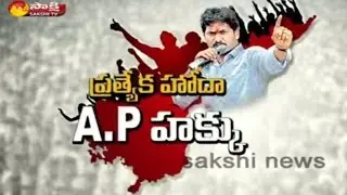 YS Jagan Mohan Reddy  Fight for AP Special Status