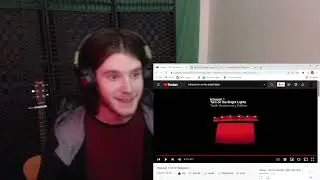 Interpol Reaction