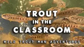 Trout in the Classroom - EPCAMR