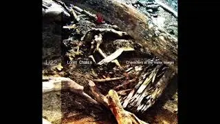 Loren Chasse - Setting a Dry Thing Upright
