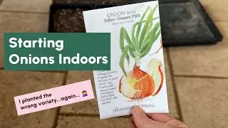 How to Start Onion Seed Indoors | Zone 6b Gardening Guide