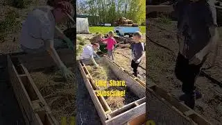 Easy Way to plant and harvest potatoes! Lazy gardener.  #gardening #potato #homesteading
