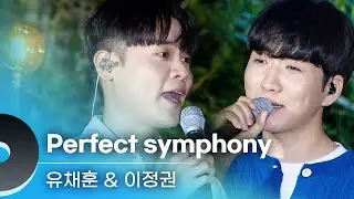 그야말로 ‘완벽한’ 심포니🎺 유채훈 & 이정권 ; Perfect symphony (원곡 Ed Sheeran) LIVE