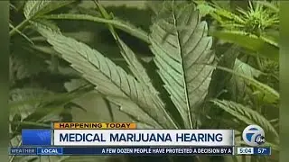 Medical marijuana hearing