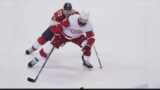 Blues trade with Red Wings for defenseman Nick Leddy
