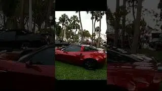 Corvette carshow (Sarasota FL)