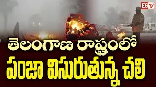 Severe Cold Wave Hits Telangana | Single Digit Temperatures | Yellow Alert Issued | E6 TV