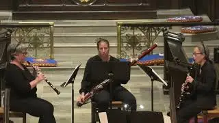 Jenni Brandon: Spider Suite