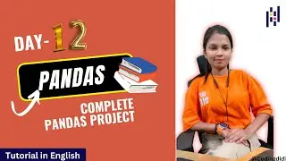 Day-12 Project based on pandas & numpy Library | implement what you learnt | Codingdidi