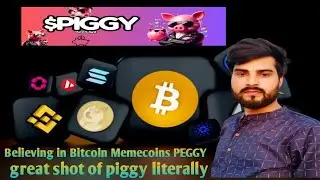 Believing in Bitcoin Meme coins PEGGY 🐷 ll stay loyal to a coin called PIGGY🤑 ll#crypto #coin #piggy