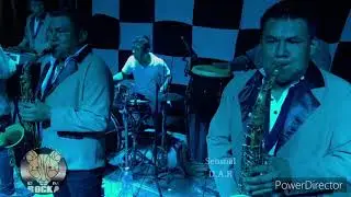 Orquestas Hermanos Mejia — Sensual  (en vivo 2020)