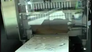 WWW.ITFOODONLINE.COM - SCHMUCKER Tray forming machine, sachet lines