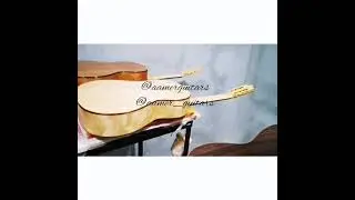 Aamer guitars colour coating site, hybrid coated guitar finishing