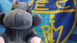 Morretes comenta... Canastas contra el cancer infantil 