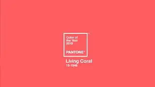 A COR DO ANO PANTONE 2019 - PANTONE 16-1546 Living Coral